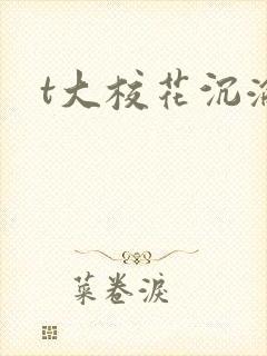 t大校花沉沦封面
