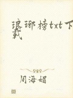琅琊榜txt下载
