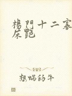 杨门十二寡妇肉床艳封面
