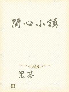 开心小镇封面