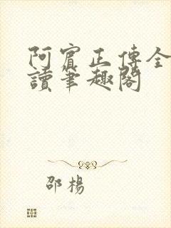 阿宾正传全文阅读笔趣阁