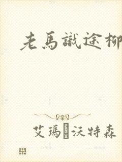 老马识途柳娇娇封面