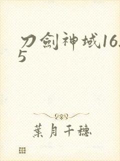 刀剑神域16.5