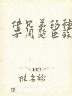 借兄弟的种生孩子周楚臣苏糖封面