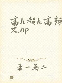 高h超h高辣h文np