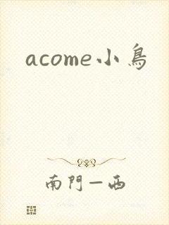 acome小鸟