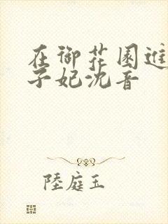 在御花园进入太子妃沈音封面