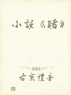 小说《赌》封面