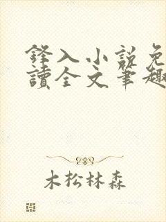 锋入小说免费阅读全文笔趣阁