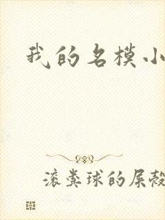 我的名模小娇妻