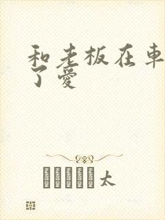 和老板在车里做了爱