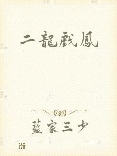 二龙戏凤