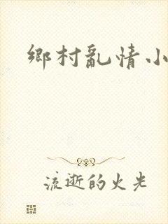 乡村乱情小说封面