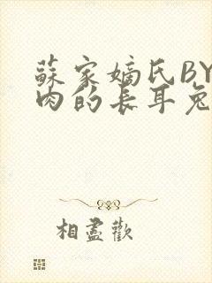 苏家嫡氏BY吃肉的长耳兔
