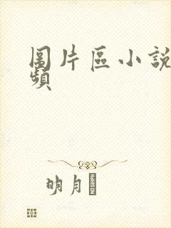 图片区小说区视频