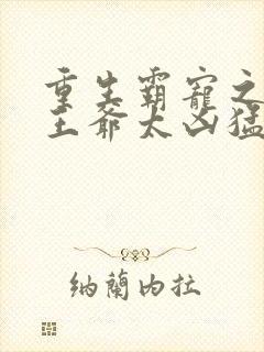 重生霸宠之摄政王爷太凶猛封面