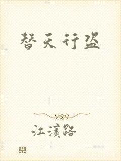 替天行盗