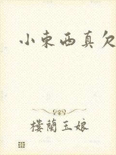 小东西真欠弄封面
