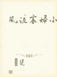 风流寡妇小说