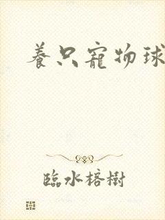 养只宠物球