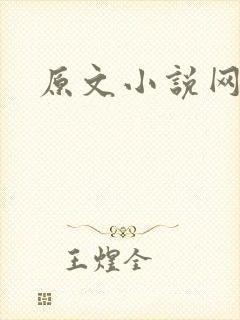原文小说网封面