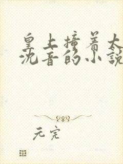 皇上撞着太子妃沈音的小说叫什么