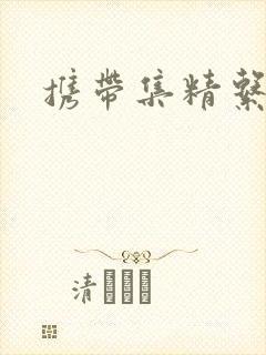 携带集精系统