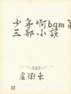 少年啊bgm第三部小说封面