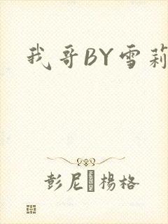 我哥BY雪莉封面