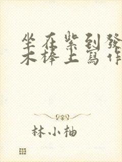 坐在紫到发黑的木棒上写作业