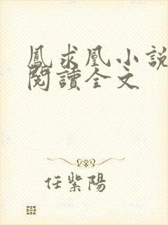 凤求凰小说免费阅读全文
