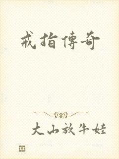 戒指传奇封面