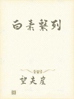 白素系列