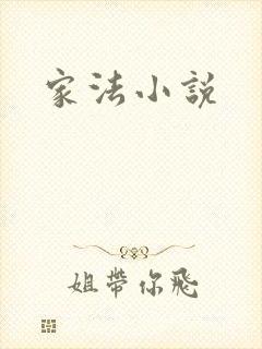 家法小说