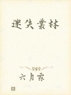迷失丛林