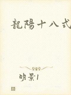 龙阳十八式封面