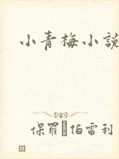 小青梅小说