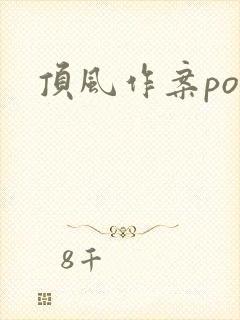 顶风作案po封面