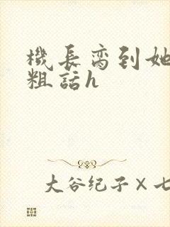 机长脔到她哭h粗话h封面