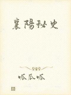 襄阳秘史