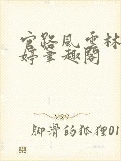 官路风云林海姜婷笔趣阁