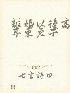 离婚以后高干 耳东兔子封面