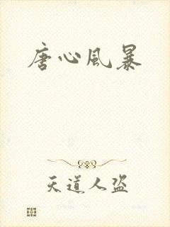 唐心风暴
