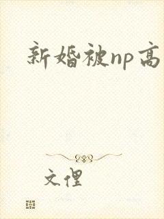 新婚被np高h
