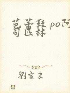 芭蕾鞋 po阿司匹林封面