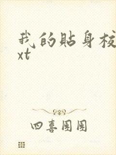 我的贴身校花txt