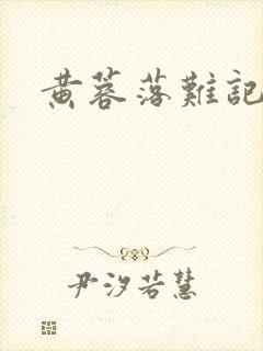黄蓉落难记封面