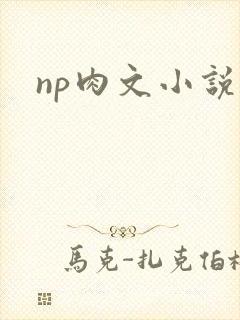 np肉文小说