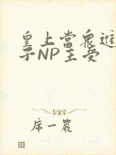 皇上当众进入太子NP主受封面