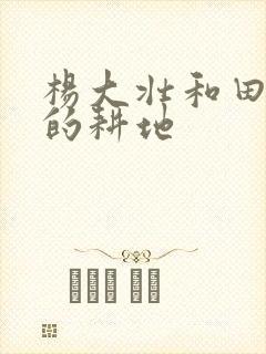 杨大壮和田桂花的耕地